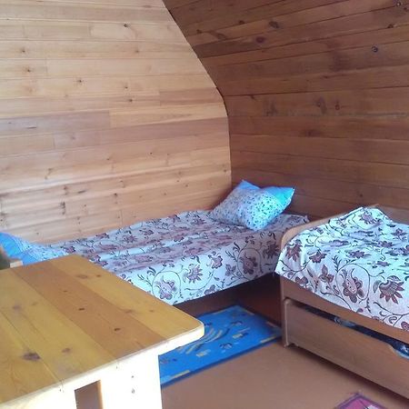 קוזיר Guest House On Ulitsa Baikalskaia 81 מראה חיצוני תמונה